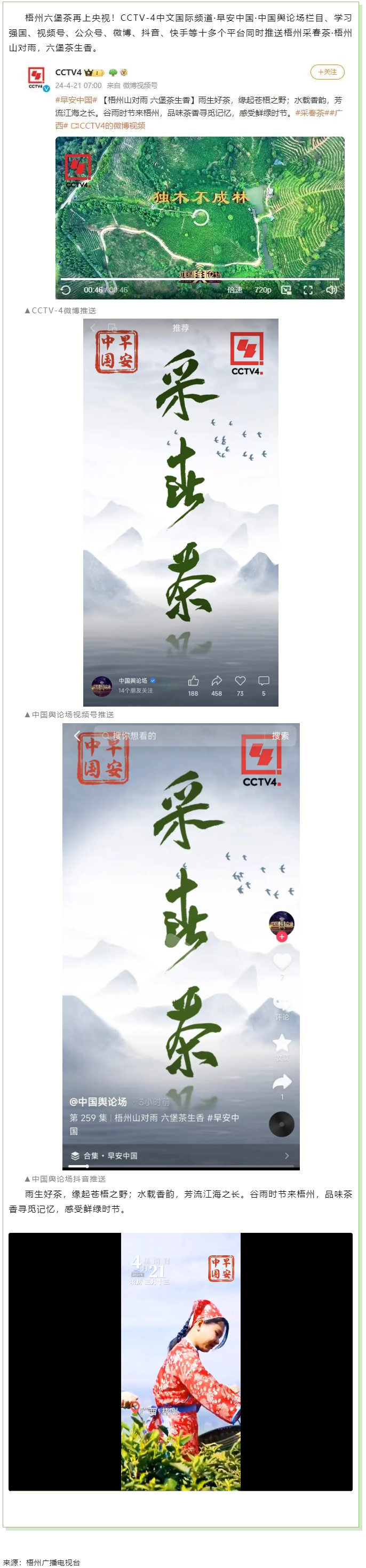 央視、學(xué)習(xí)強(qiáng)國等十多個平臺同時推送梧州采春茶·梧州六堡茶.png