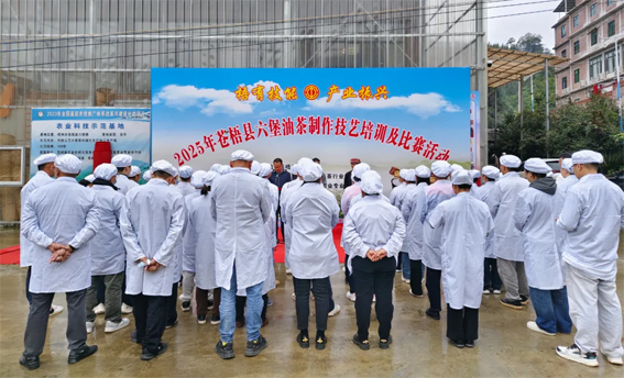2025年蒼梧縣六堡油茶制作技藝培訓(xùn)及比賽活動(dòng)圓滿落幕！